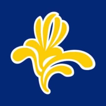 flagge-brussel